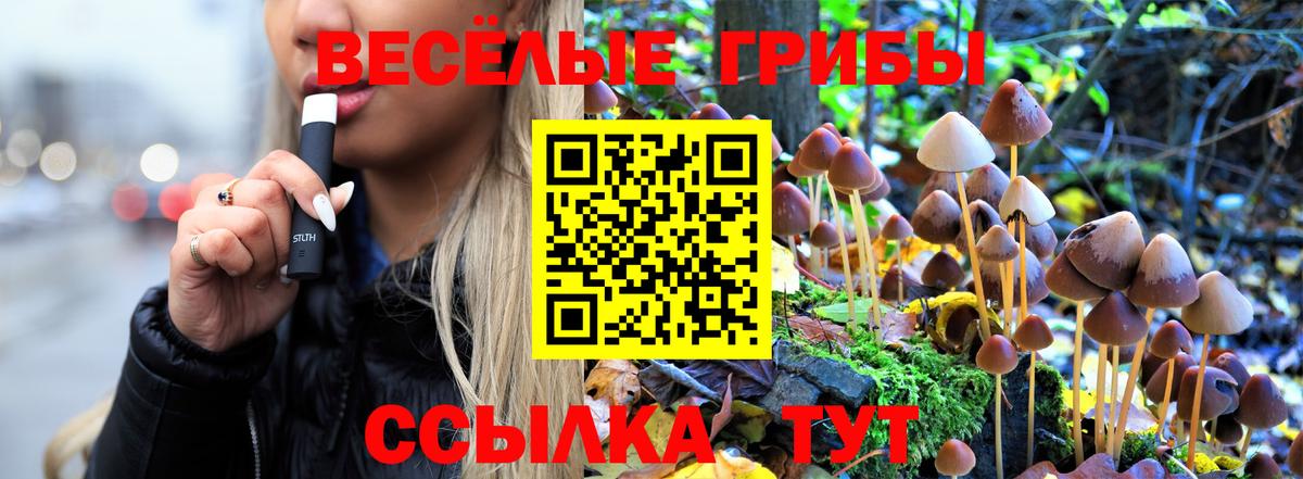 Альметьевск  Псилоцибиновые грибы мицелий  Псилоцибиновые грибы MAGIC MUSHROOMS  Вход с VPN 