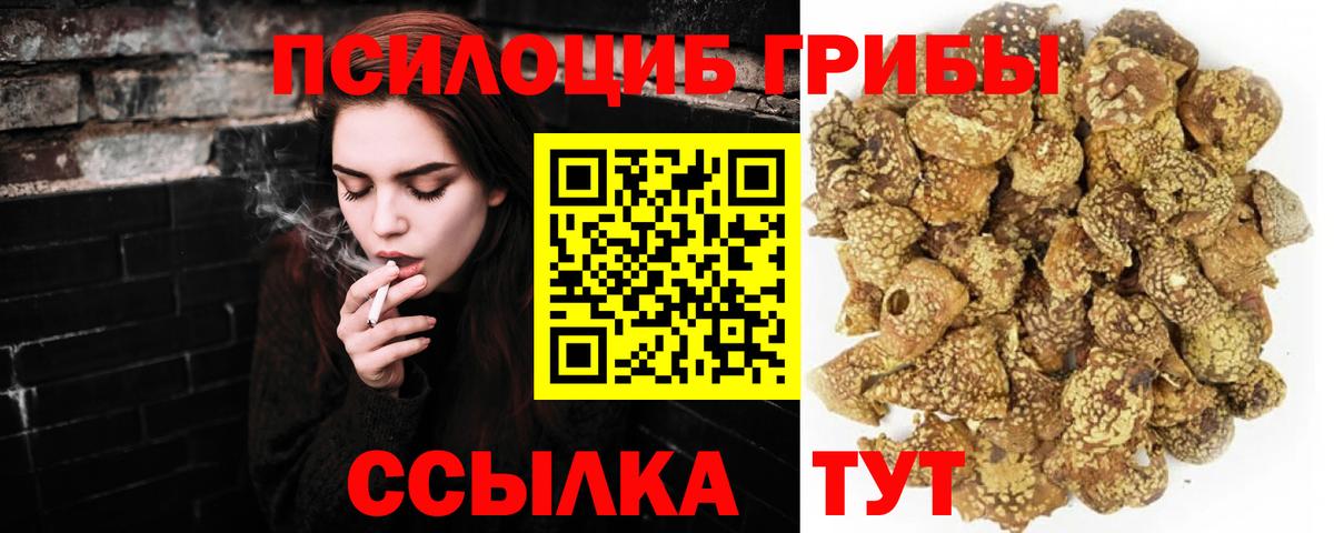 Псилоцибиновые грибы GOLDEN TEACHER Альметьевск